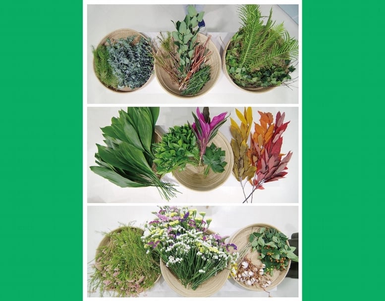 韓國高陽兒童博物館「Crowned by Nature」活動中多感官植物認識。（林宇儂提供）