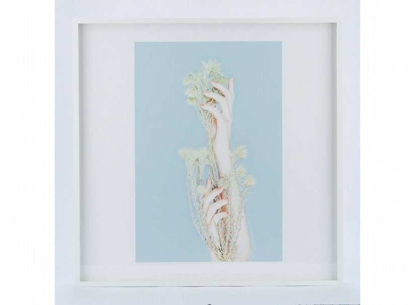 代謝 Metabolism 留榮鋒攝影個展