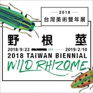 燒不盡 、「湠」無窮：「野根莖–2018台灣美術雙年展」