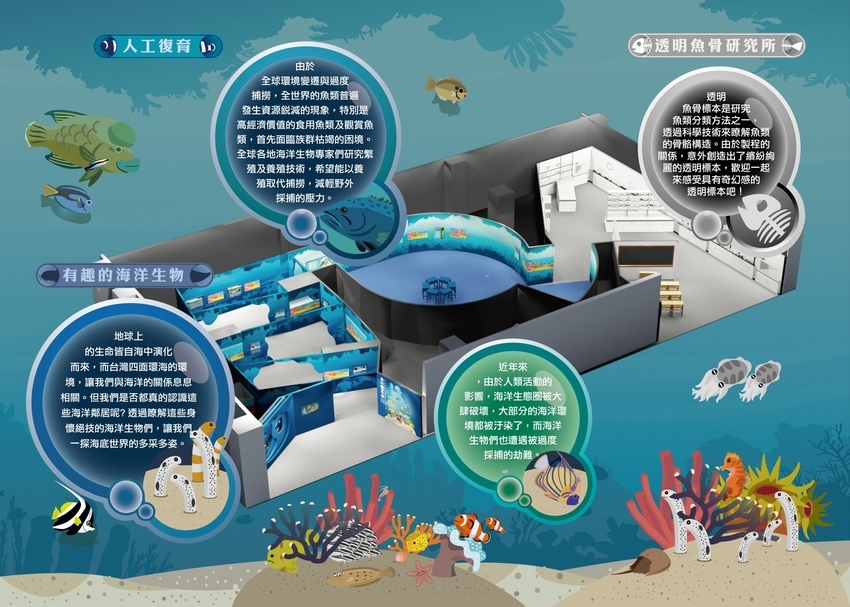 【小典藏│新鮮事】海科館趣味海洋特展:水中驚奇等你來發現!