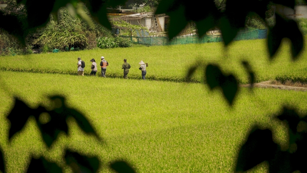 (圖片來源:桃園地景藝術節FB粉絲專頁)