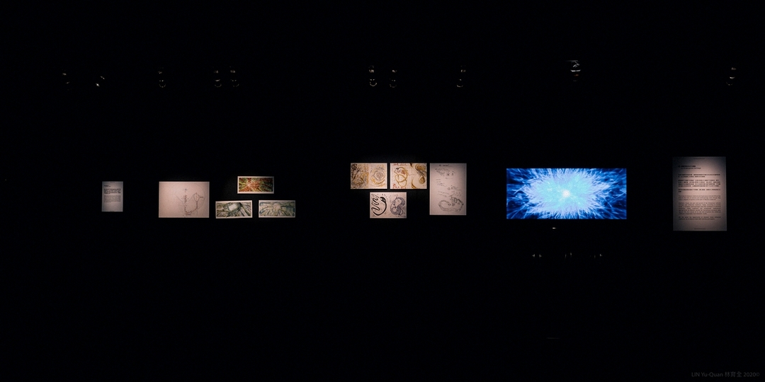 「迷幻死藤水－薩滿之旅VRR展Ayahuasca –薩滿教徒展覽」展覽現場。（攝影／林育全，財團法人數位藝術基金會提供）