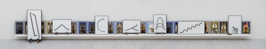 「2020台灣美術雙年展」子題三「無名戰爭肖像」展出作品：吳權倫《編隊 形變 犬變》，鉛筆紙本、噴墨相紙、東德卡茲許特陶瓷收藏，約1080 × 60 × 130 cm，2019。（藝術家提供）