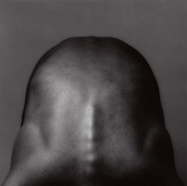 羅伯特．梅普爾索普1982年的銀鹽攝影作品《Donald Cann》。（All Mapplethorpe Works © Robert Mapplethorpe Foundation. Used by permission ，MAI 36畫廊提供）