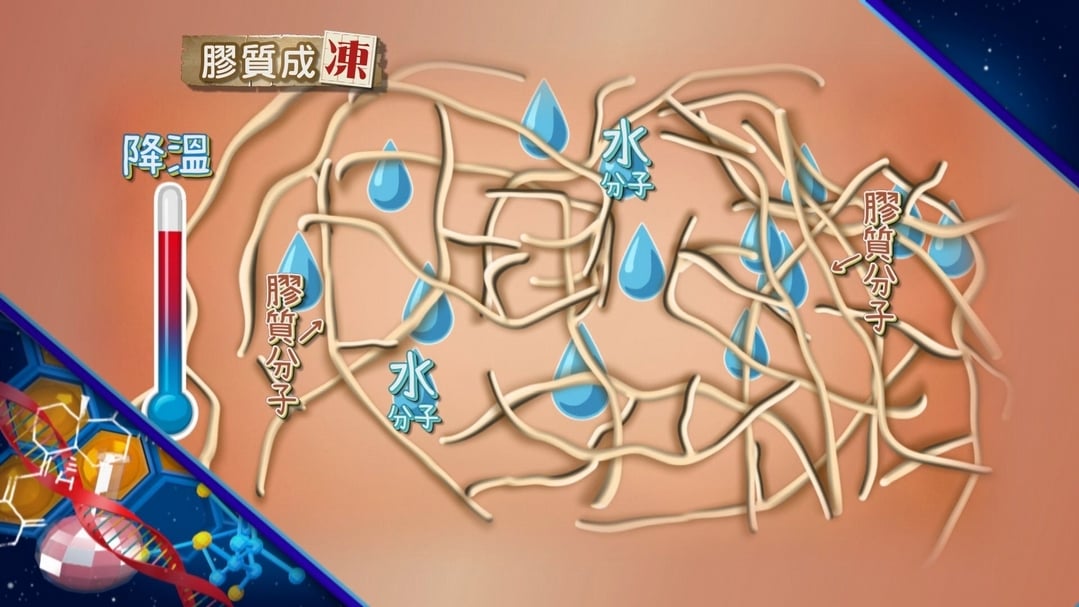 【小典藏X公視 神廚賽恩師】每週一菜之今天吃什麼？清爽的羊羹來一口！