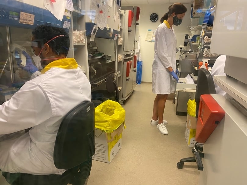 天主教魯汶大學癌症生物學中心內的科學家做實驗的過程。（顧廣毅提供）