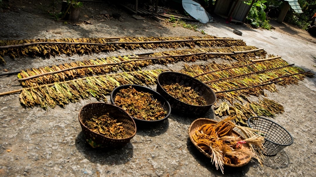 原住民日常飲食仰賴自然，族人們不斷與大自然學習，並運用傳統智慧，從中發現、創造更多味覺的驚喜。（陳豪毅提供）