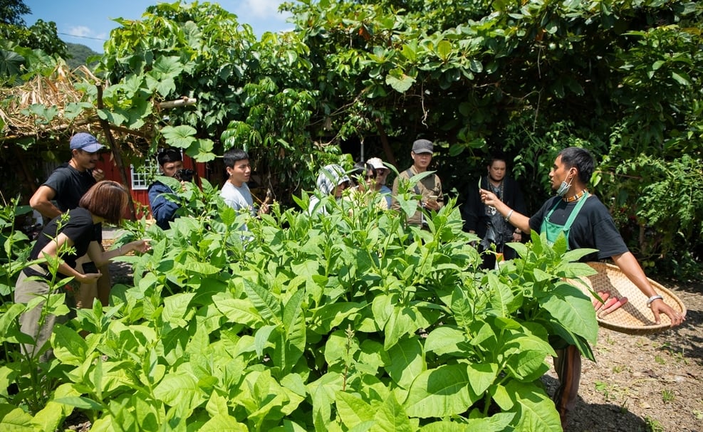 原住民日常飲食仰賴自然，族人們不斷與大自然學習，並運用傳統智慧，從中發現、創造更多味覺的驚喜。（陳豪毅提供）
