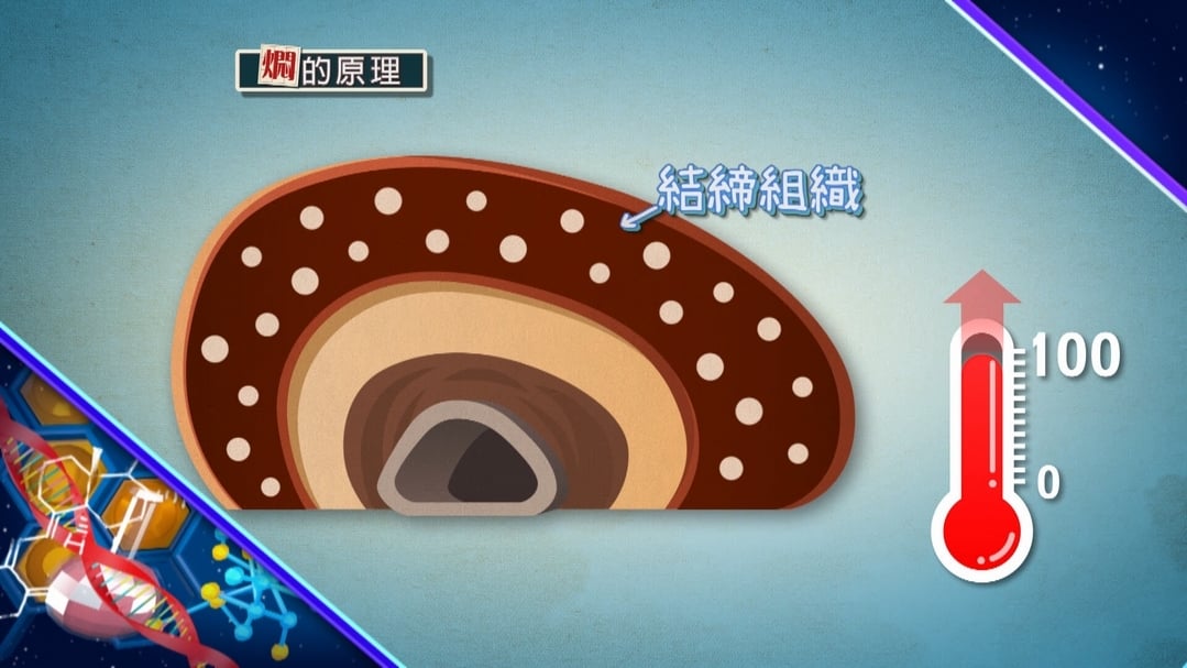 【小典藏X公視 神廚賽恩師】每週一菜之今天吃什麼？白菜滷不是用滷的!
