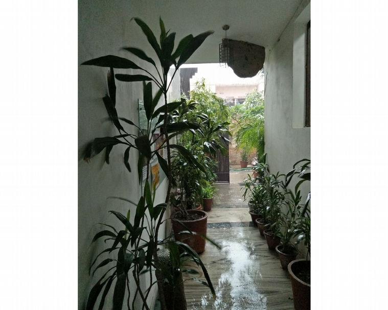 Niv藝術中心一景，天花板的蜂巢是藝術家以陶土燒製的作品。（李奎壁提供，攝於德里，2019）