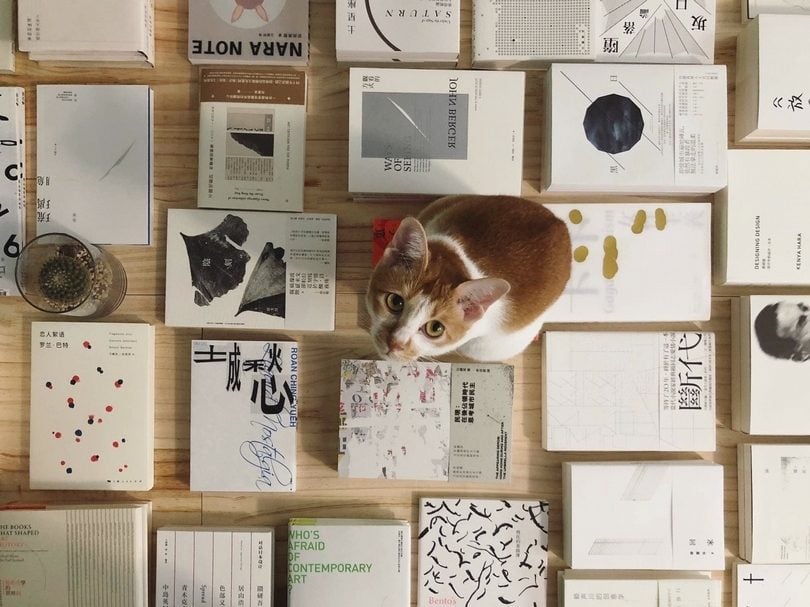 在書店策劃微小的書展(井井三一繪本書屋 @澳門) 因為書陳列與放置的「空間」,它的聲音就有了截然不同的「力度」。井井主題選書。展覽主題:白色之書。顧展:阿梅妹(井井三一繪本書屋終身副店長)