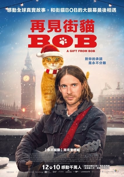 【小典藏│看電影】因為有你，我們更強大！《再見街貓BOB》感動上映！