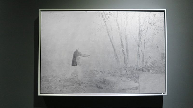 藝術家汪紹綱《鶴》．藝術微噴．50.8×76.2 cm．2017。攝影：楊椀茹