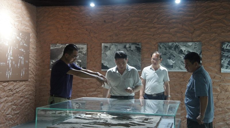 左起：大河村1972年第一次考古發掘領隊于曉興之子于宏偉，鄭州市文物考古研究所郝紅星，前大河村遺址博物館館長、現任鄭州嵩山文明研究院長張建華及考古挖掘人員，熱烈討論大河村遺址墓葬群。