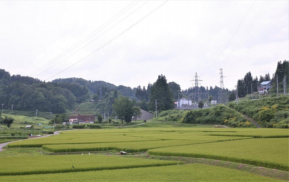 「越後妻有」幅原約為760 平方公里,包含日本新潟縣南部的十日町市和津南町在內,並自2000年起舉辦三年一度的「越後妻有大地藝術祭」(Echigo-Tsumari Art Field)。(攝影/楊天帥)