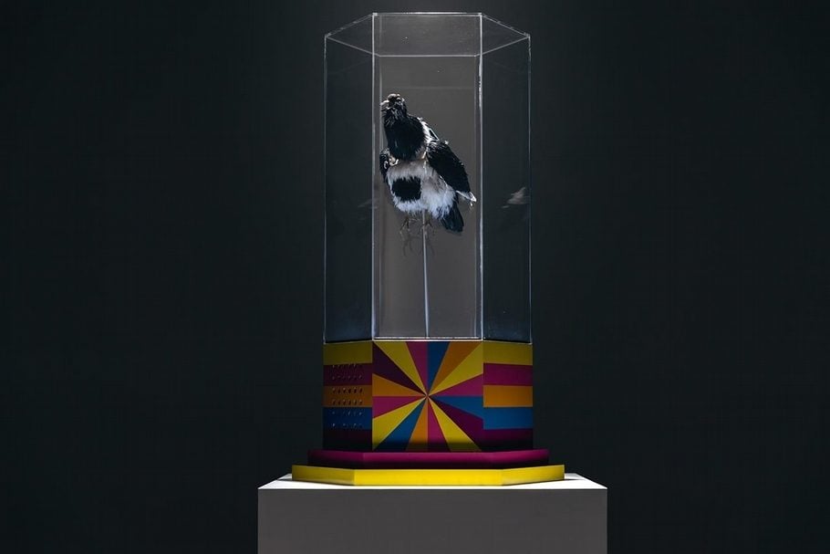 張碩尹｜Pierre Jaquet-Droz Singing Bird Cage 1780 現成物、3D列印零件、壓克力、複合媒材 86x53x53cm 2017 伊日藝術提供