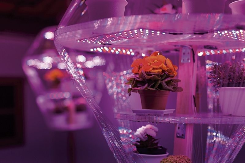 大畑彩(Sayaka Ohata)與梅諾弗(Joseph Mayrhofer)作品《花園:心之所向》。(寶藏巖國際藝術村提供)