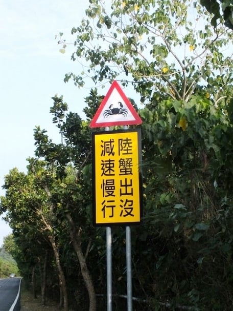 【小典藏｜愛閱讀】「生態廊道」給動物一條平安回家的路