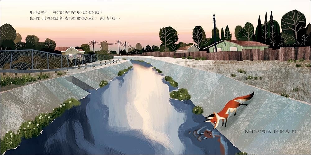 【小典藏｜愛閱讀】「生態廊道」給動物一條平安回家的路