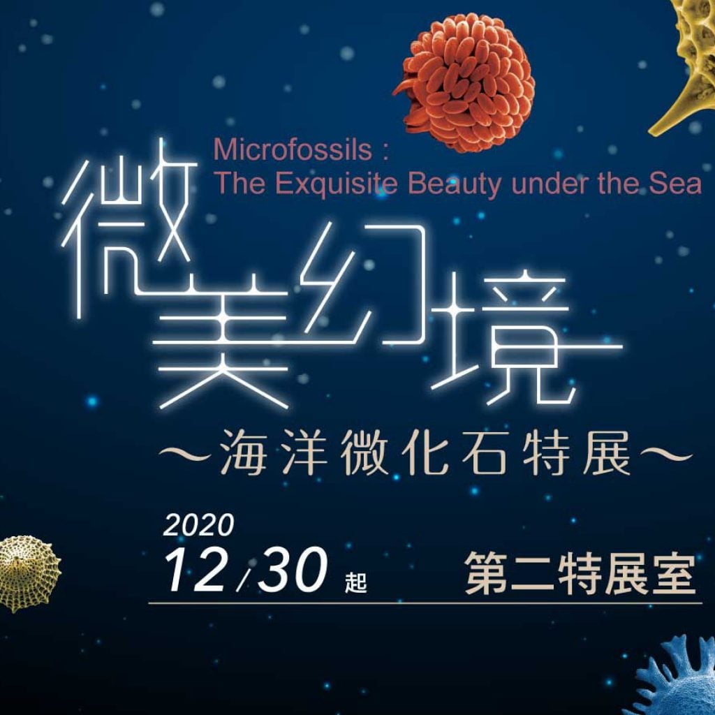 【小典藏│愛看展】 《微美幻境》海洋微化石特展，帶你進入微美內太空