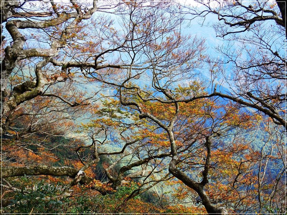 （圖10，蘇東昇攝）