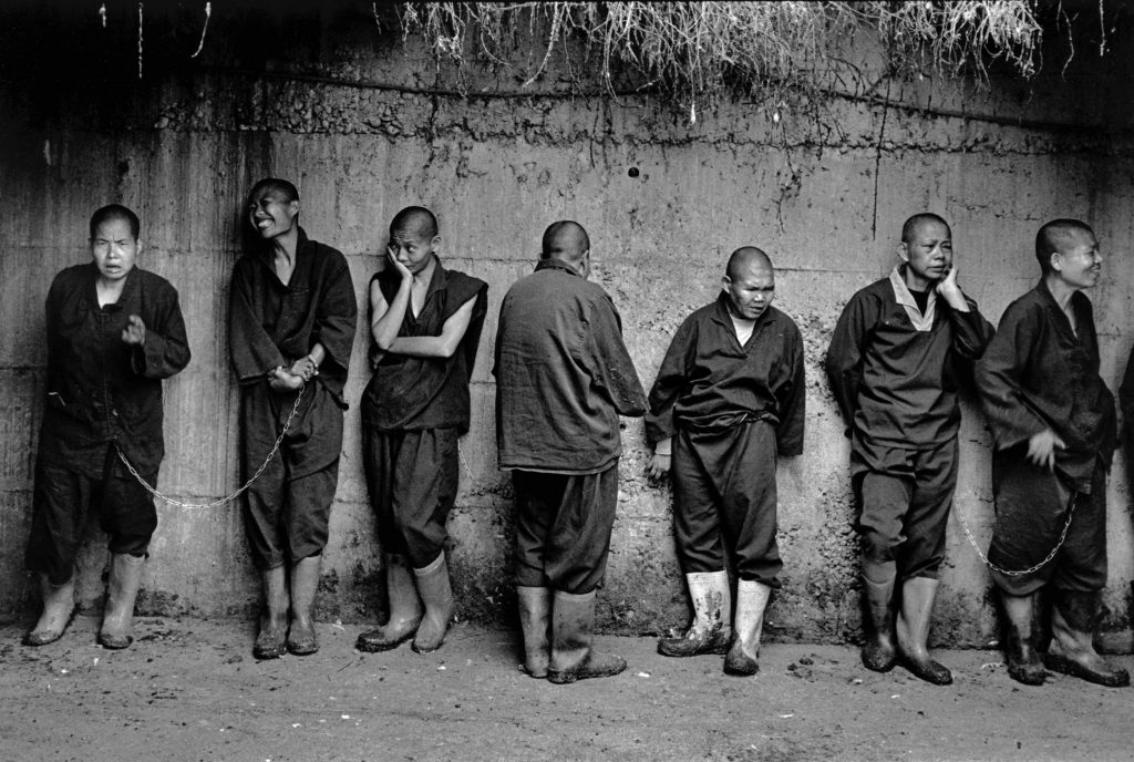 TAIWAN. 1999. Patients of Lung Fa Tang, the largest insane asylum in Taiwan, find shelter in the chicken farm during the…