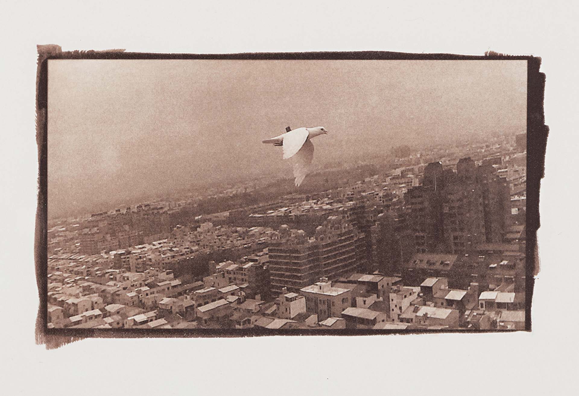 李立中，《軍鴿報告書（卷二）—飛雁新村02》，攝影，16×9cm，2020。（紅野畫廊提供）