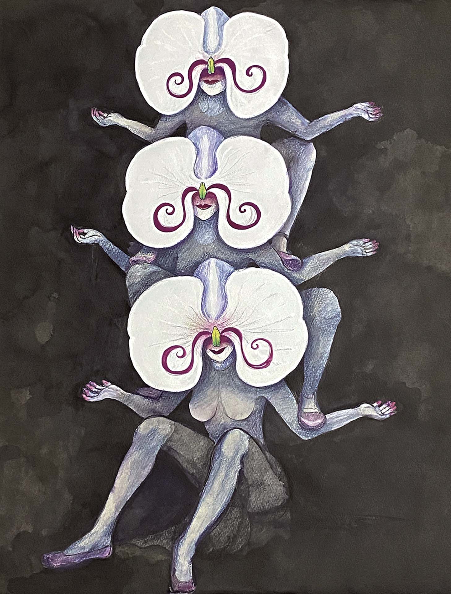 柳美和為《阿婆蘭 Aphrodite》所繪製手稿。(© Miwa Yanagi)