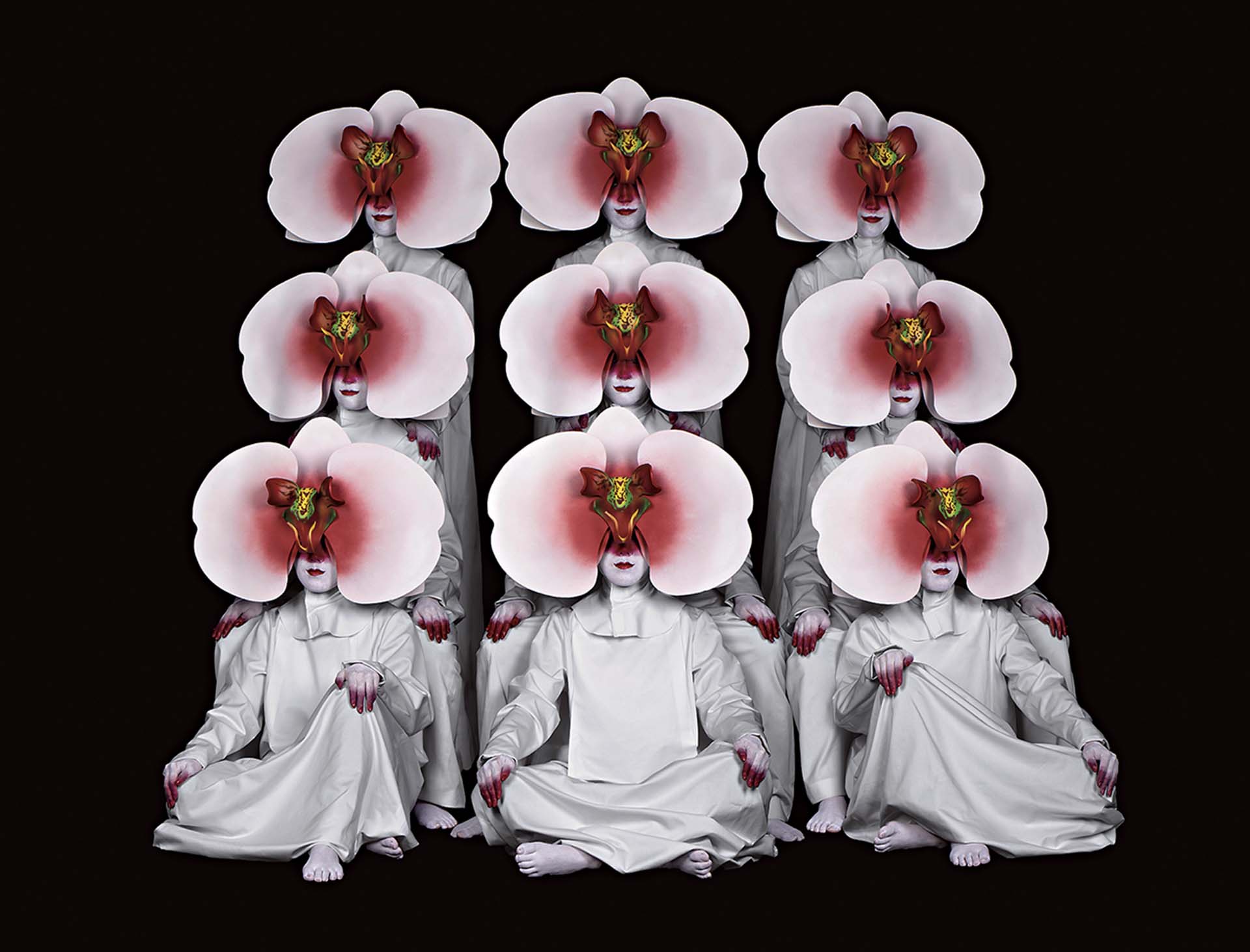 《阿婆蘭 Aphrodite》形象照。(© Miwa Yanagi)