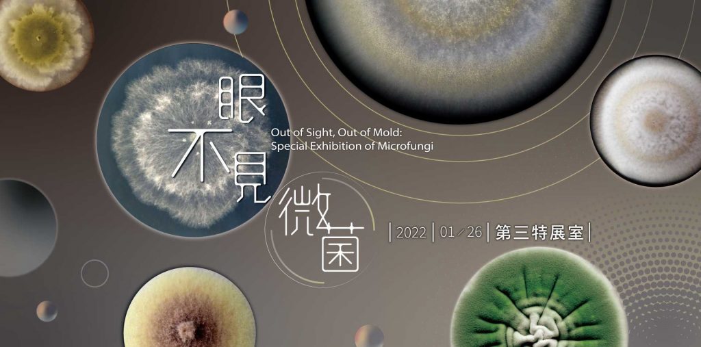 【小典藏｜愛看展】看不見髒東西就絕對乾淨嗎？國立自然科學博物館「眼不見微菌─微真菌」特展，解密你不知道的微真菌大小事！