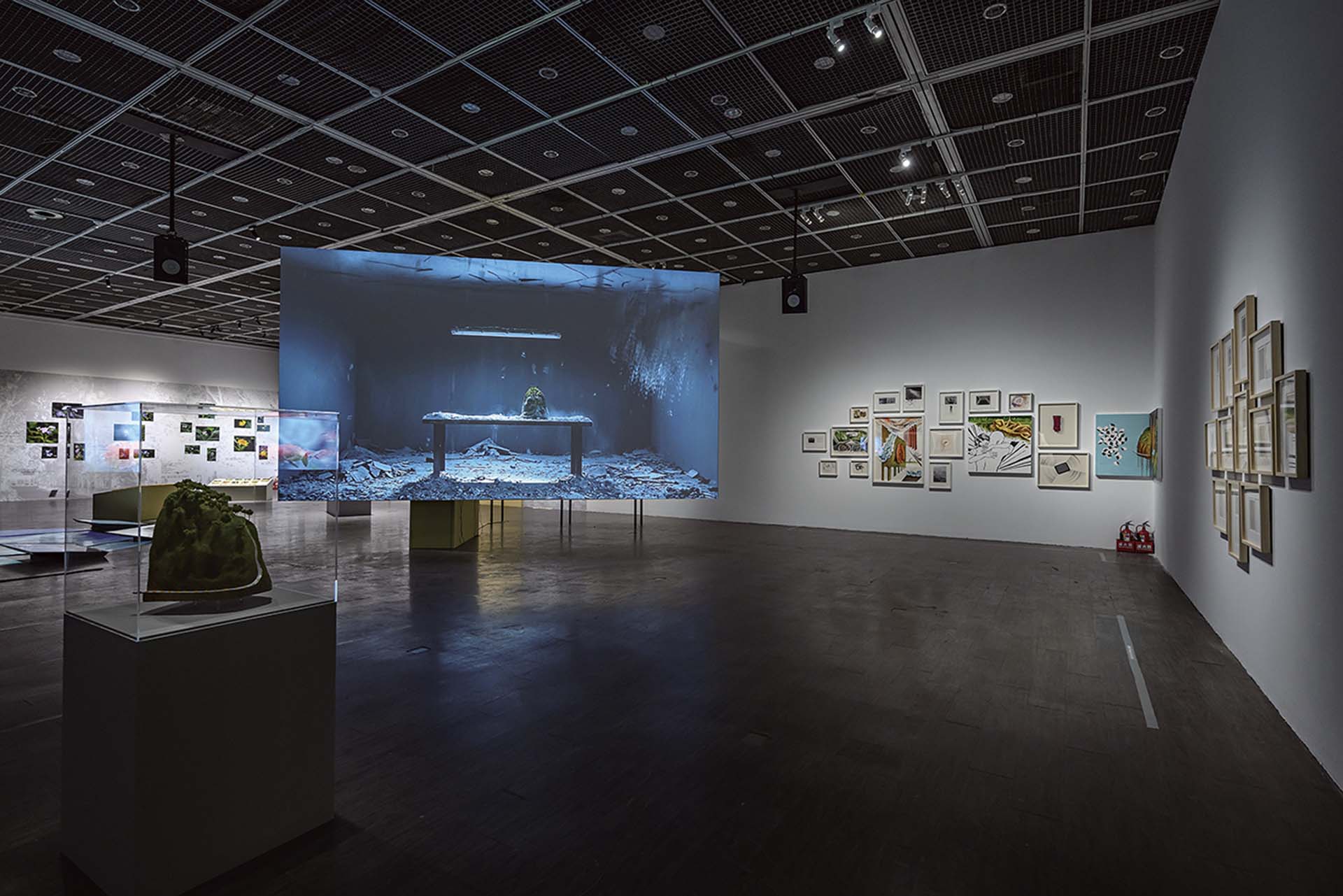 王俊傑「若絲計畫：冷漠的賽拉薇」於「歷史．當代」展覽現場。（台北當代藝術館提供）