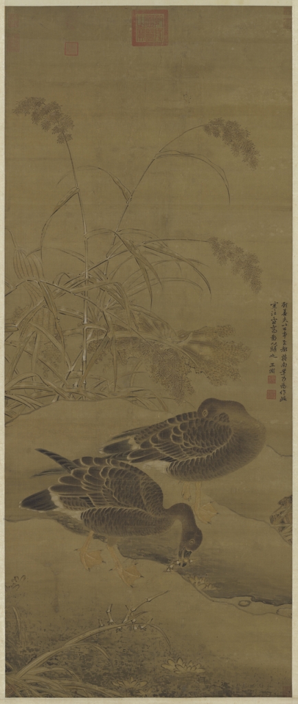 元 王淵〈寒江蘆雁〉,絹本設色,149.7×62.7公分,國立故宮博物院藏。圖/國立故宮博物院。