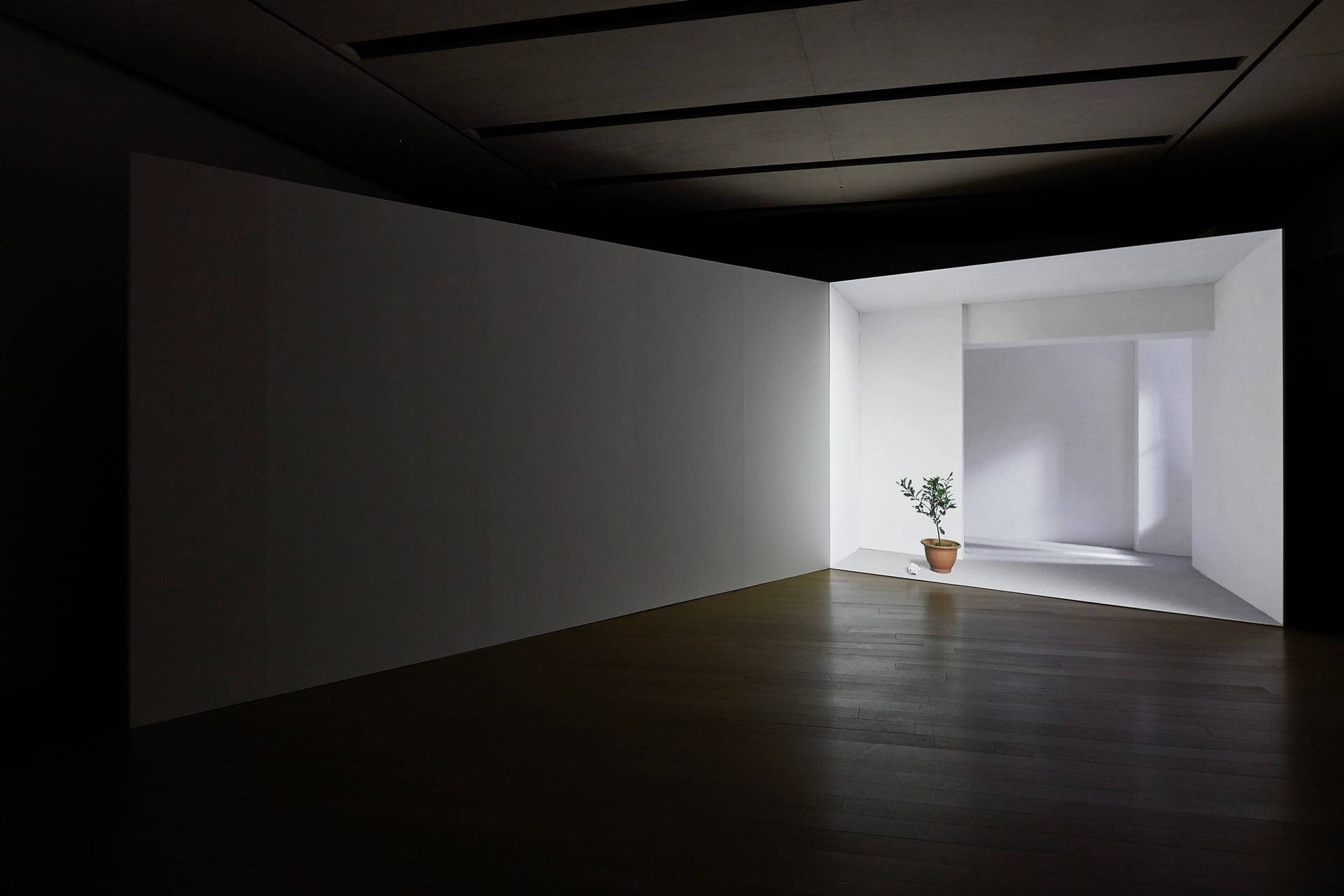 王雅慧《日光下的靜物》,錄像裝置,彩色無聲,4分36秒循環,2005。圖片提供——王雅慧