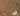 106667