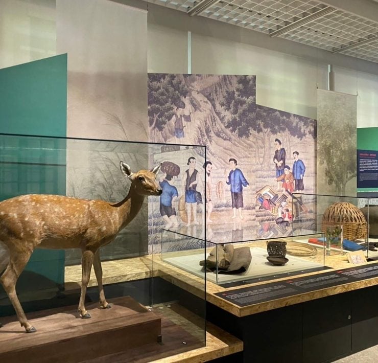 當代策展的多重跨域：策展人洪廣冀帶你看「林野：力的交界」特展