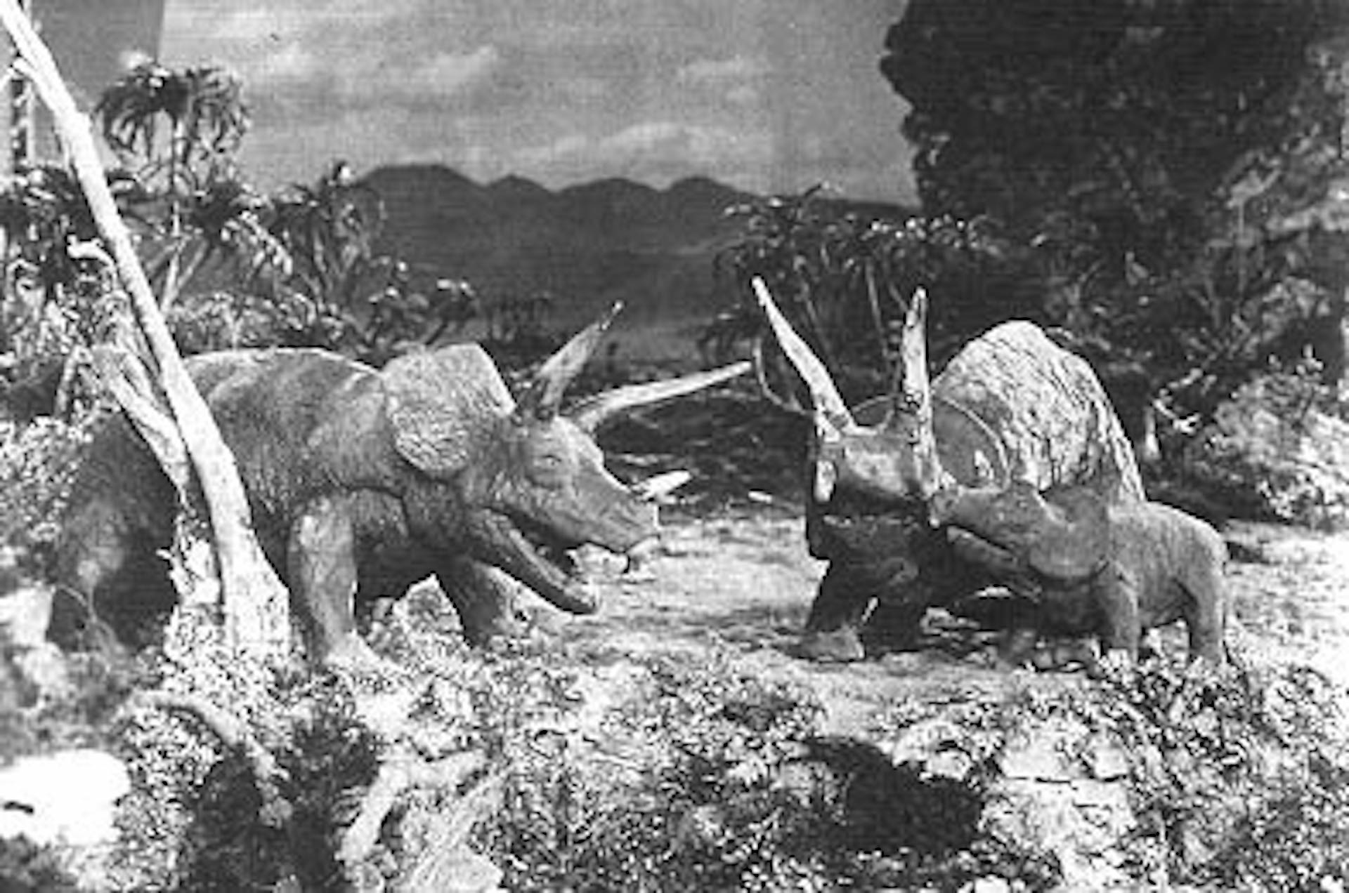 電影《失落的世界》（The Lost World）中三角龍的定格動畫影像。（Public Domain）
