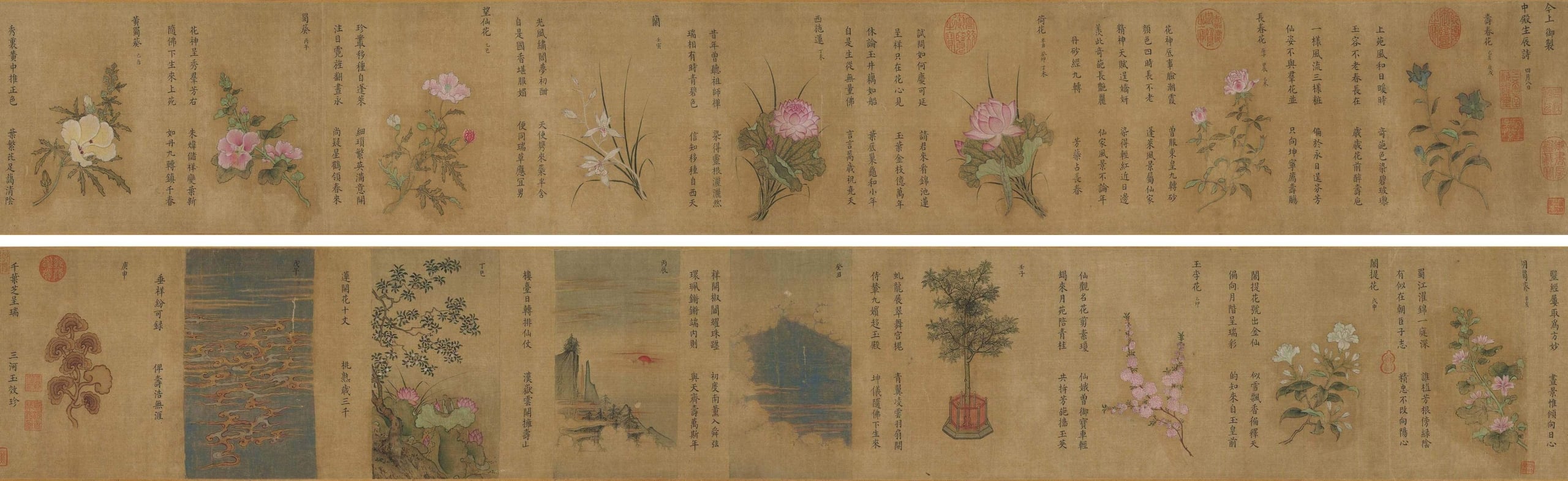南宋 楊婕妤〈百花圖卷〉,絹本設色,24×324公分,吉林省博物院藏。