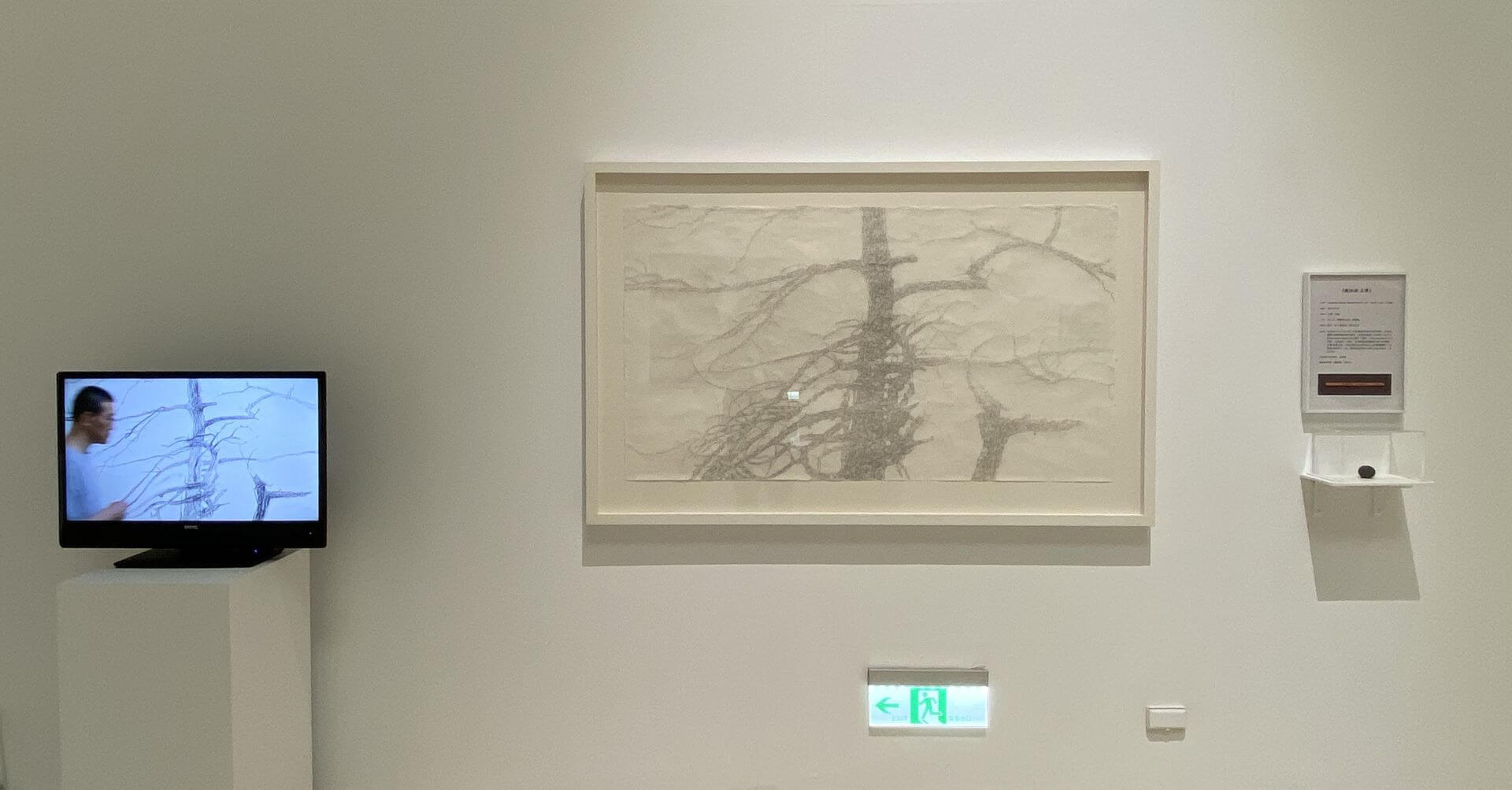 石晉華《犧牲樹 正傳》，鉛筆、紙、軟橡皮、壓克力盒 ，藝術家自藏。（攝影／顏子軒）