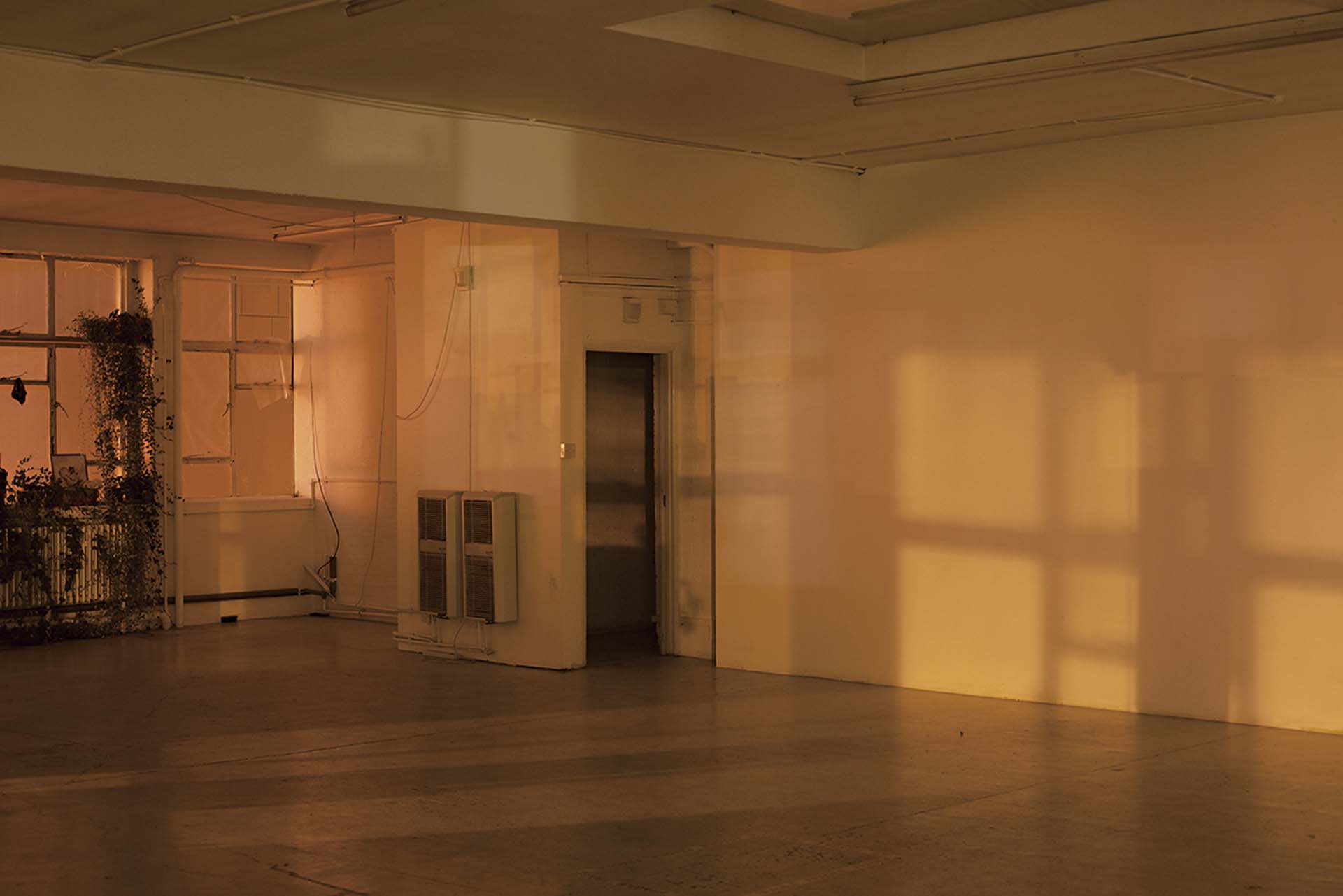 沃爾夫岡．提爾曼斯，《充滿光明，a》，2011年。圖片由卓納畫廊（紐約/香港）、布赫茲畫廊（柏林/科隆）和莫琳·佩利畫廊（倫敦）提供。