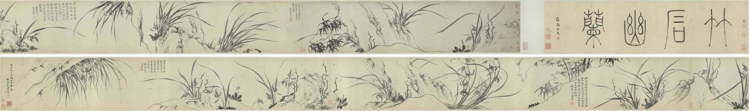 圖1 清 顧媚〈畫幽蘭〉，22.5×551.8公分，蘭千山寄存國立故宮博物院。圖／國立故宮博物院。