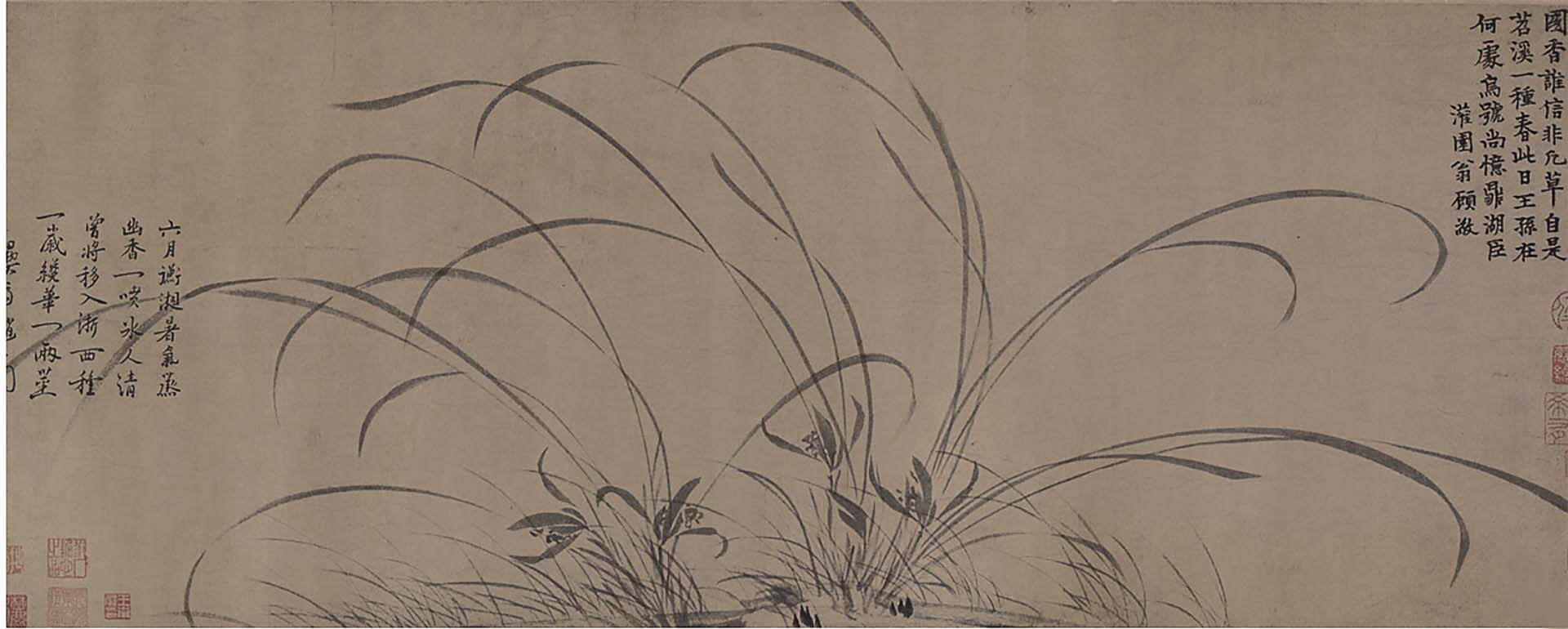 圖4 宋 趙孟堅〈墨蘭〉局部，34.5×90.2公分，北京故宮博物院藏。