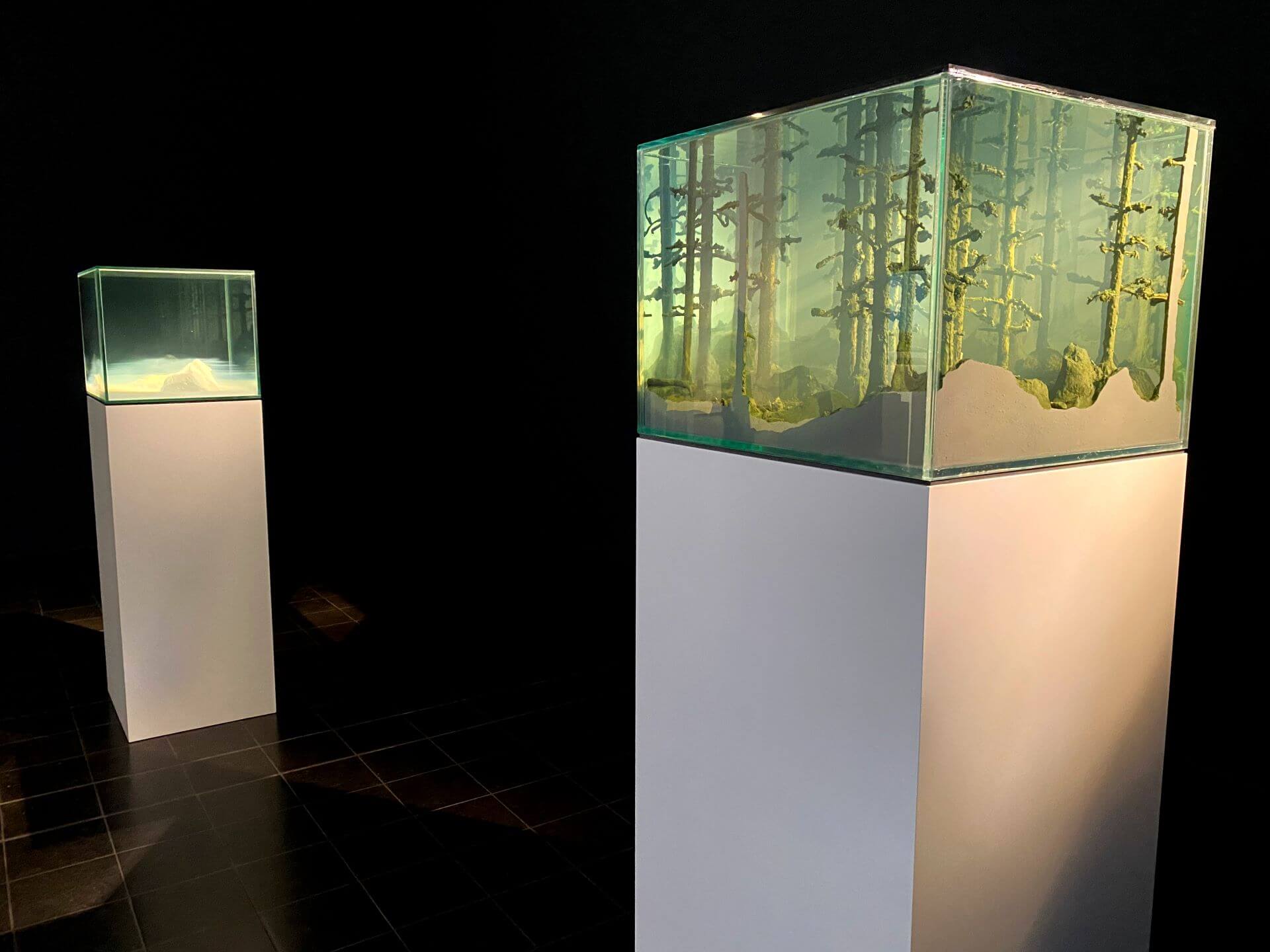 紐德克（Mariele&nbsp;Neudecker），《水箱作品》（Tank works），2001。（攝影／郭書瑄）