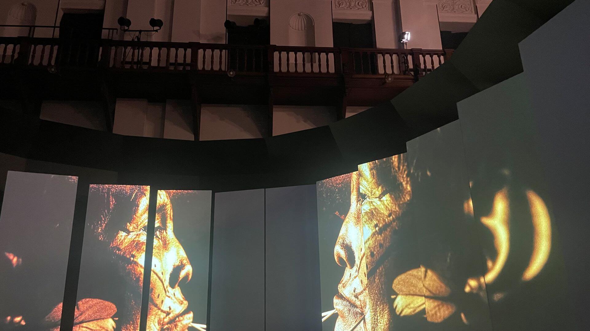 Claudia Andujar作品於京都文化博物館的展示風景。（攝影／鄭禹彤）