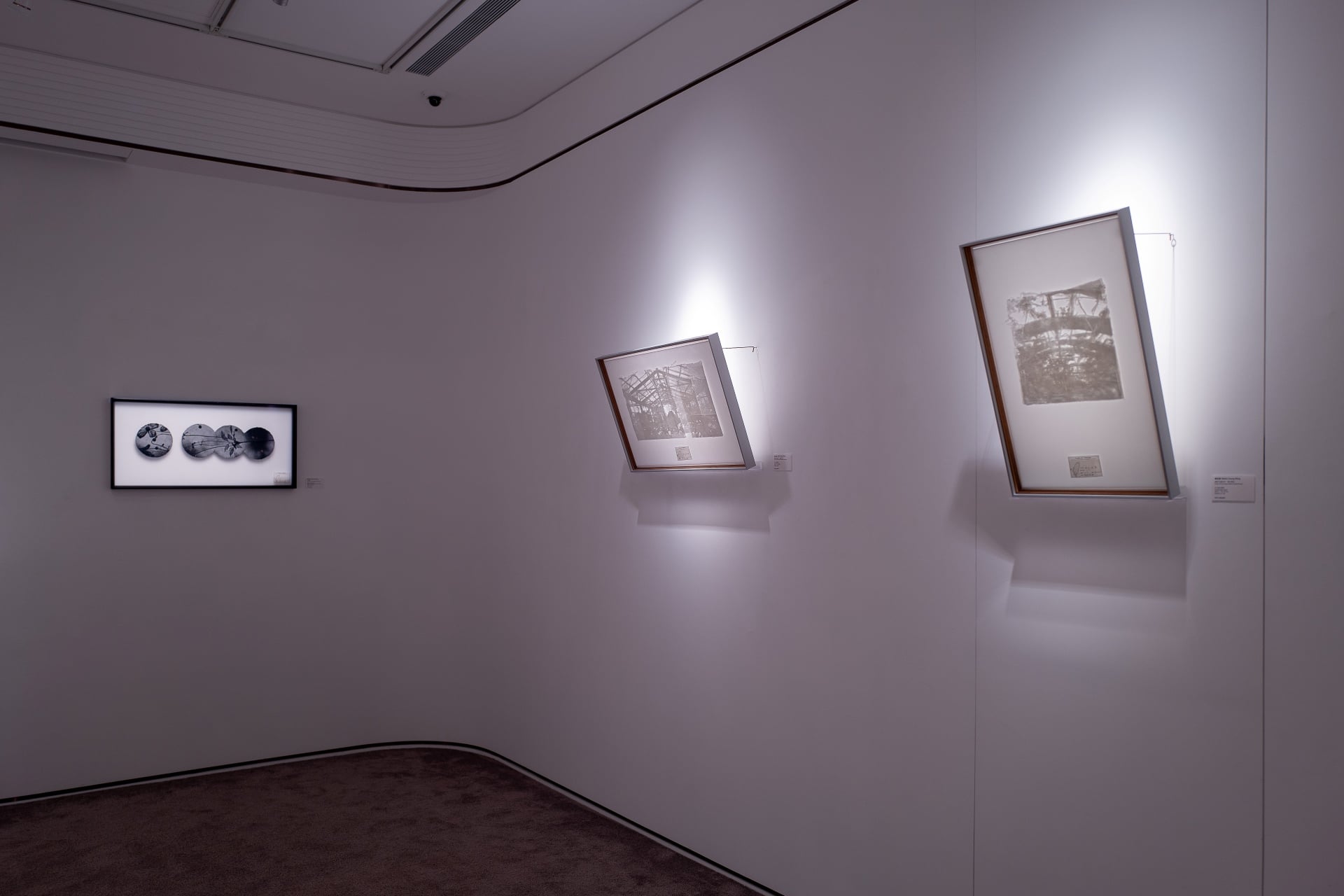 圖為楊忠銘於曜畫廊展出之作品。由左至右分別為《冷月暗香》（Under the moon）、《秘境溫室》（Paradise Greenhouse）以及《原生溫室》（Native Greenhouse）。（曜畫廊提供）
