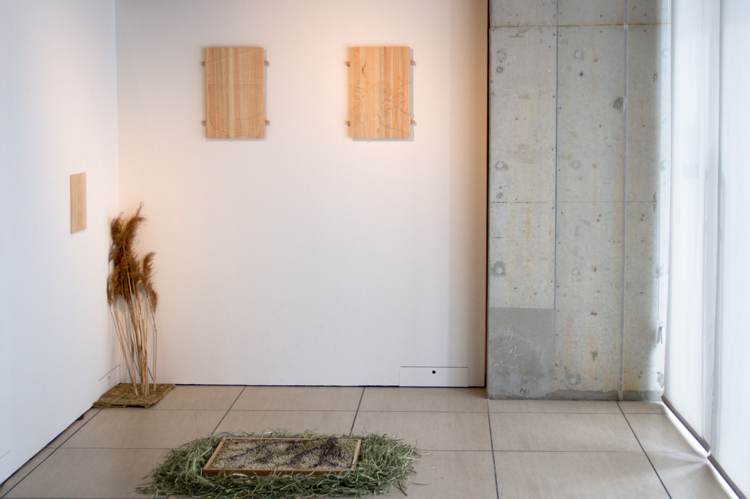 Leonardo的作品，從牆上至地面由右至左分別是《You touched me and I touched you》、《Kura Shokinya》、《From the ash》、《The landscape of memory》。（攝影…