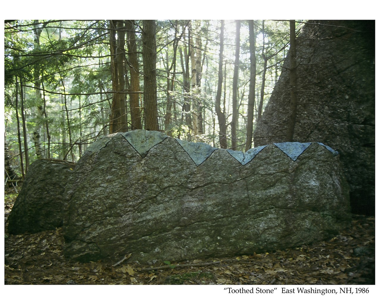 大衛·菲利浦,《牙狀石》(Toothed Stone),1986年,美國新罕普夏州。(攝影:David L. Phillips,CC-BY-SA 4.0)