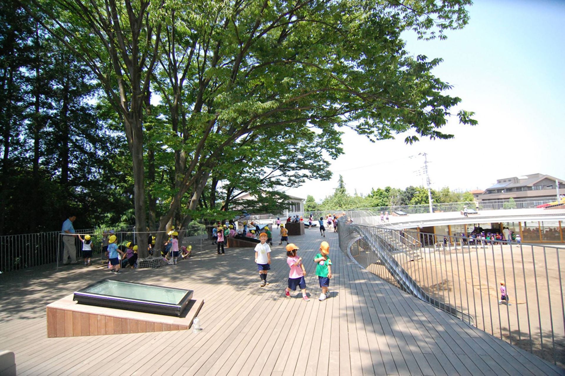 東京富士幼兒園大樹從室內貫穿出屋頂。（手塚建築研究所提供）