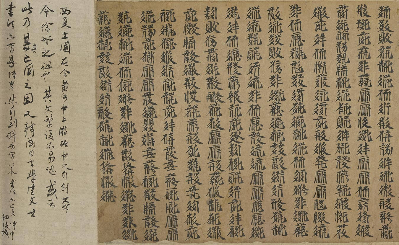 圖7 西夏文〈大方廣佛華嚴經〉局部及傅申題跋。
