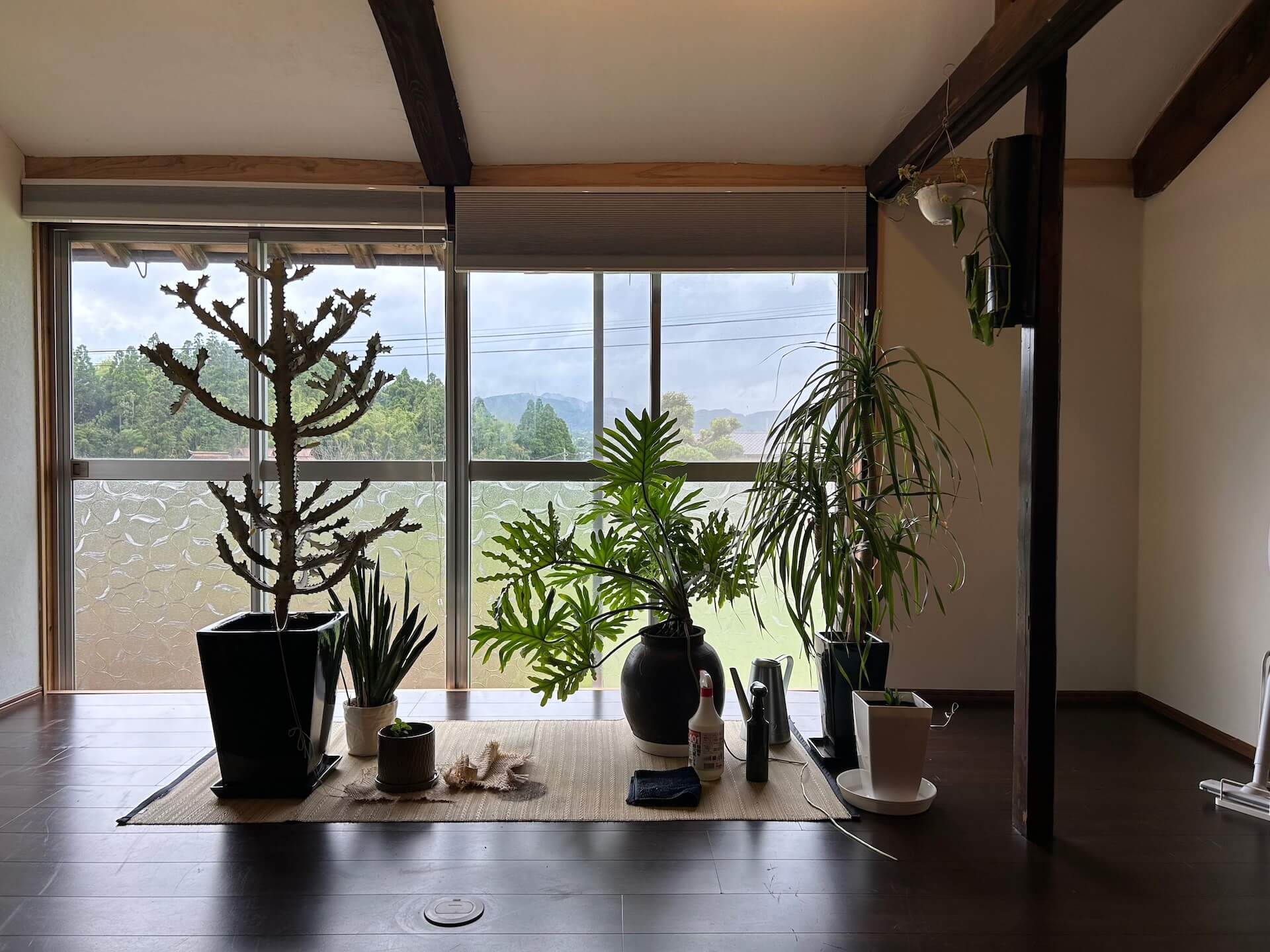 Solidity House室內一隅。（黃豆泥提供）