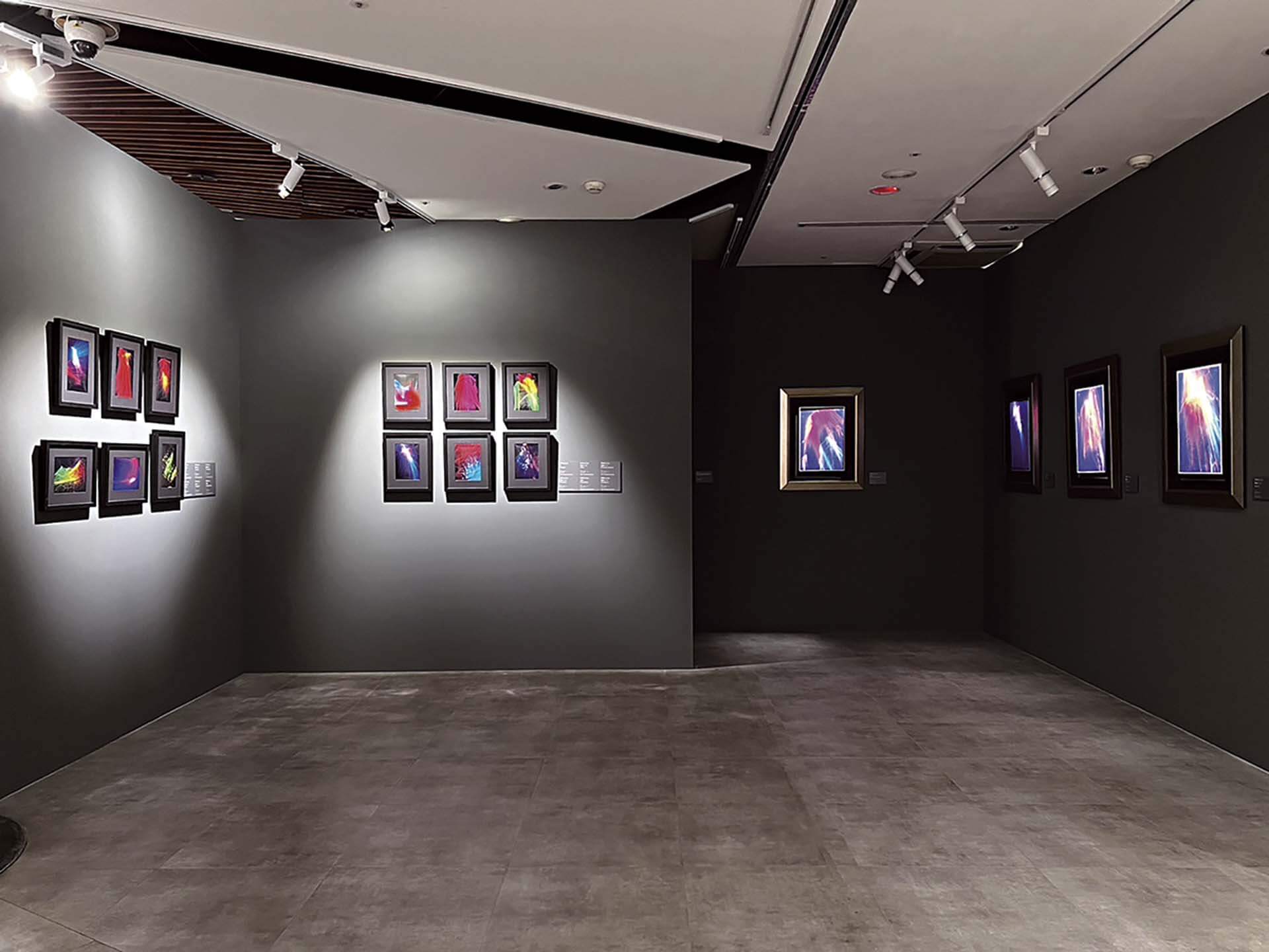 「英風百年-楊英風藝術大展」展覽一景。 (攝影/朱貽安)